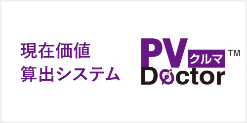 現在価値算出システムPV Doctor